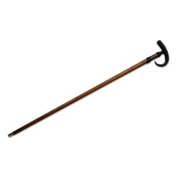 A wooden cane with chamois horn cross