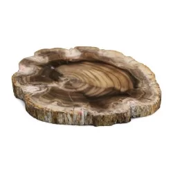 Une pièce de bois pétrifiée.