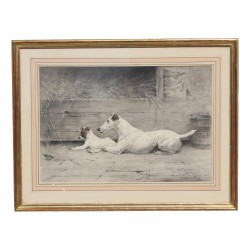Dessin "Jack russell Terrier" signé Xavier de Poret (1894-1975).