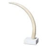 Défense d éléphant sans socle avec 2 percements d anciens - Moinat - Accessoires de décoration