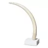 Elephant tusk without base with 2 old piercings - Moinat - Decorating accessories